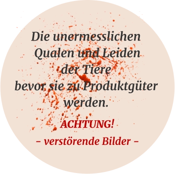Die unermesslichen Qualen und Leiden der Tiere bevor sie zu Produktgüter werden. ACHTUNG!- verstörende Bilder -