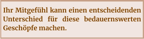 Ihr Mitgefühl kann einen entscheidenden Unterschied für diese bedauernswerten Geschöpfe machen.