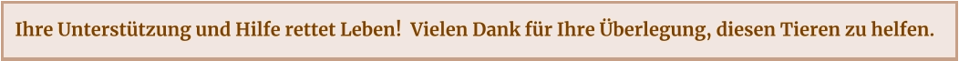 Ihre Unterstützung und Hilfe rettet Leben!  Vielen Dank für Ihre Überlegung, diesen Tieren zu helfen.