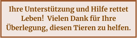 Ihre Unterstützung und Hilfe rettet Leben!  Vielen Dank für Ihre Überlegung, diesen Tieren zu helfen.