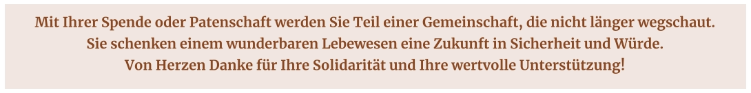 Mit Ihrer Spende oder Patenschaft werden Sie Teil einer Gemeinschaft, die nicht länger wegschaut.  Sie schenken einem wunderbaren Lebewesen eine Zukunft in Sicherheit und Würde.  Von Herzen Danke für Ihre Solidarität und Ihre wertvolle Unterstützung!