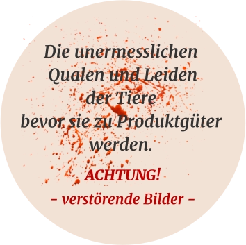 Die unermesslichen Qualen und Leiden der Tiere bevor sie zu Produktgüter werden. ACHTUNG!- verstörende Bilder -