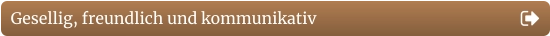 Gesellig, freundlich und kommunikativ