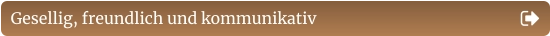 Gesellig, freundlich und kommunikativ