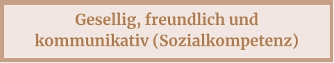 Gesellig, freundlich und kommunikativ (Sozialkompetenz)