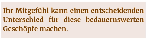 Ihr Mitgefühl kann einen entscheidenden Unterschied für diese bedauernswerten Geschöpfe machen.