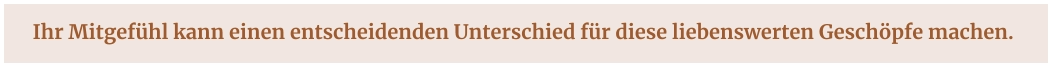 Ihr Mitgefühl kann einen entscheidenden Unterschied für diese liebenswerten Geschöpfe machen.