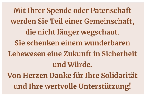 Mit Ihrer Spende oder Patenschaft werden Sie Teil einer Gemeinschaft,  die nicht länger wegschaut.  Sie schenken einem wunderbaren Lebewesen eine Zukunft in Sicherheit  und Würde.  Von Herzen Danke für Ihre Solidarität und Ihre wertvolle Unterstützung!